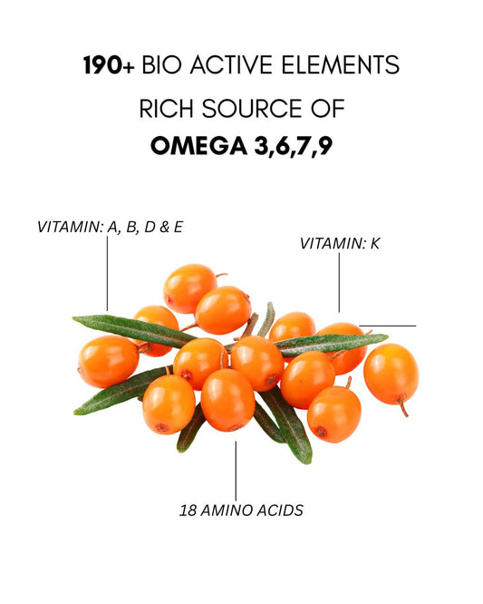 Sea Buckthorn Pulp