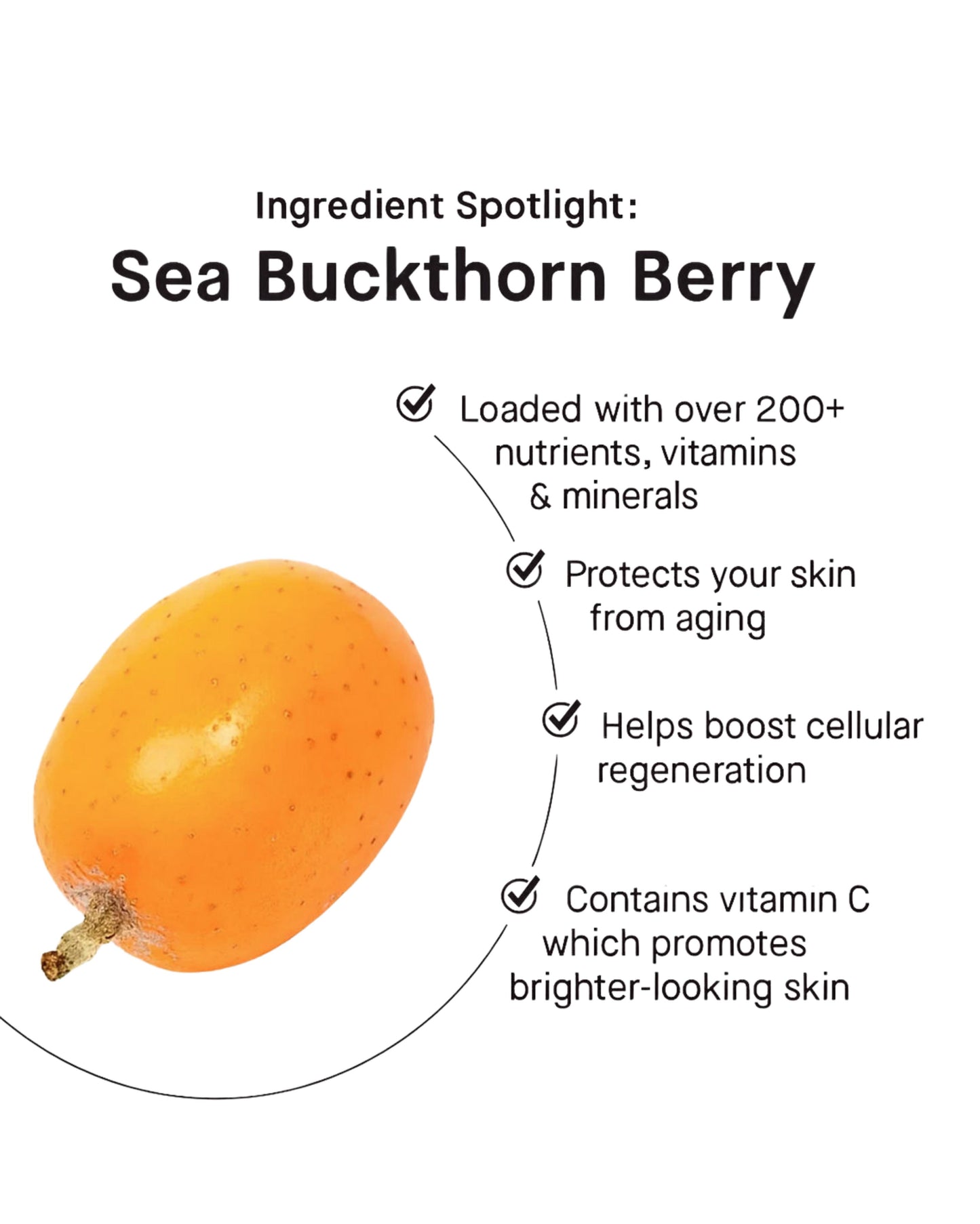 Sea Buckthorn Pulp