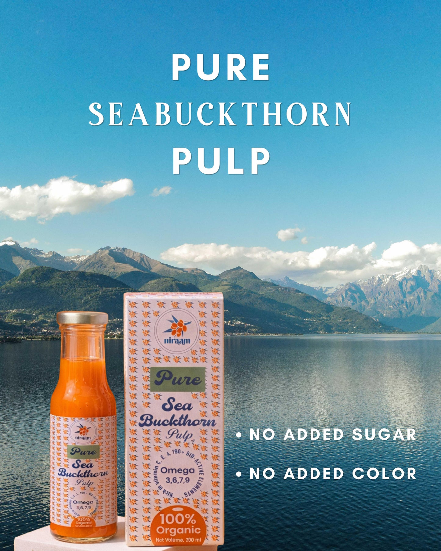 Sea Buckthorn Pulp